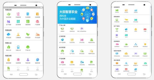 大田智慧農(nóng)業(yè) 以1.28億元數(shù)字化服務，筑牢農(nóng)產(chǎn)品安全生命線